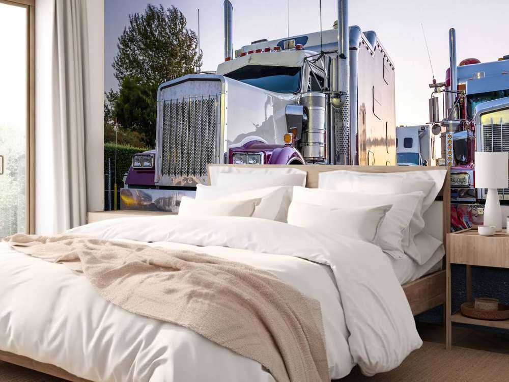 Camions classiques