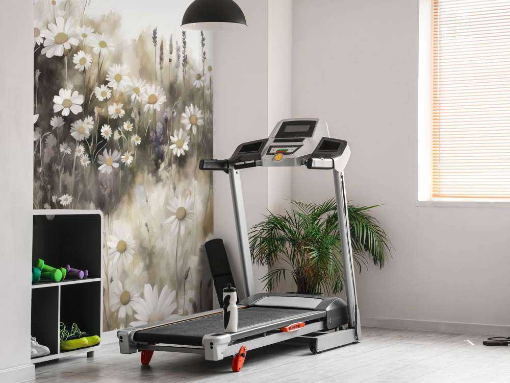 Crème de prairie de marguerites silencieuses