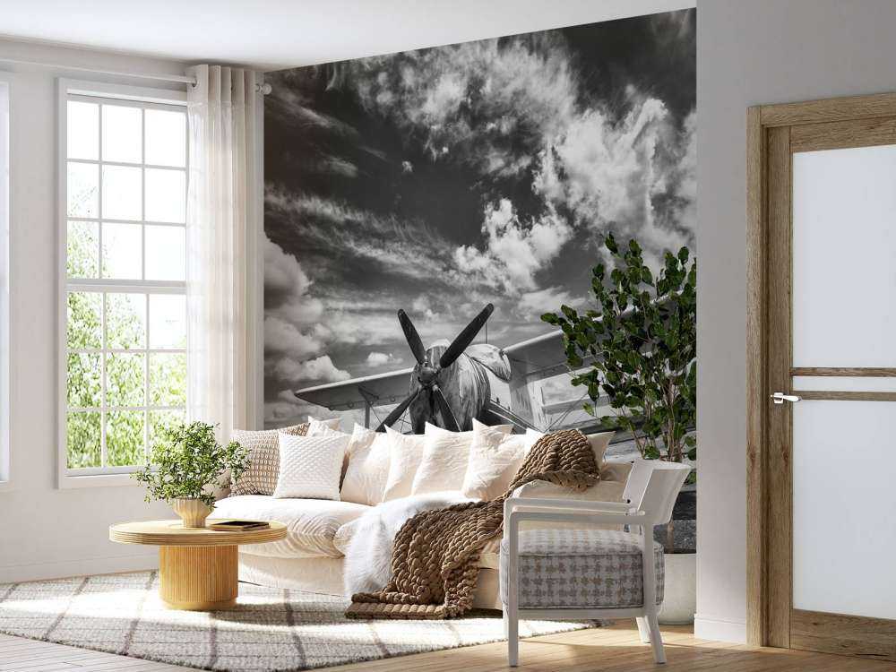 Avion classique