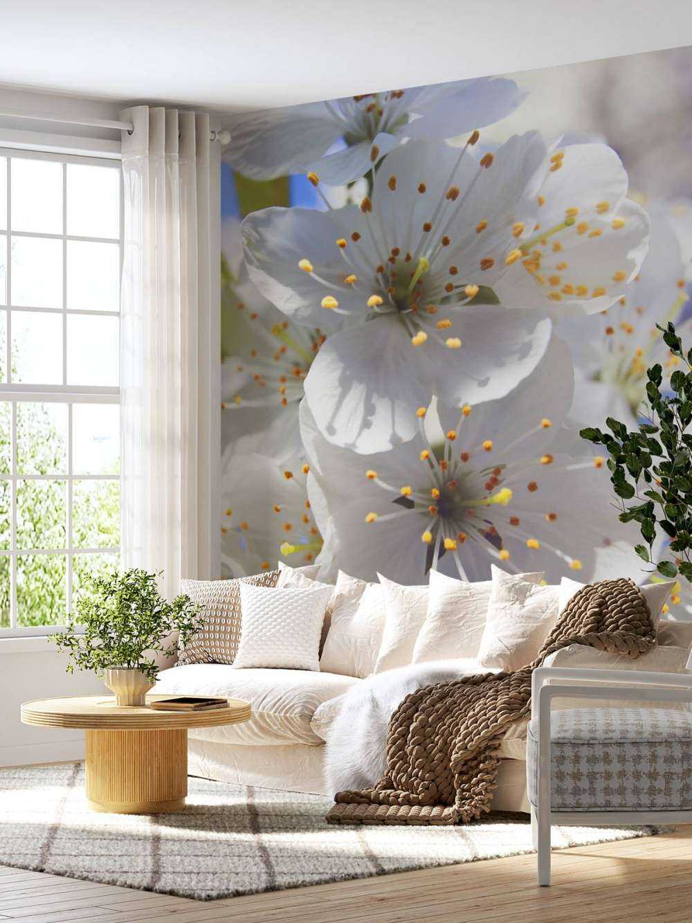 Gros plan sur des fleurs blanches