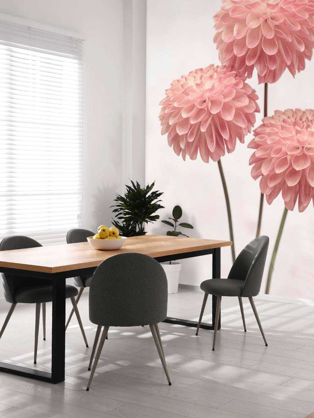 Trois dahlias roses