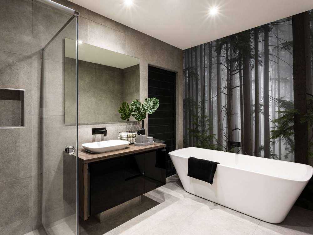 Forêt par temps de brouillard