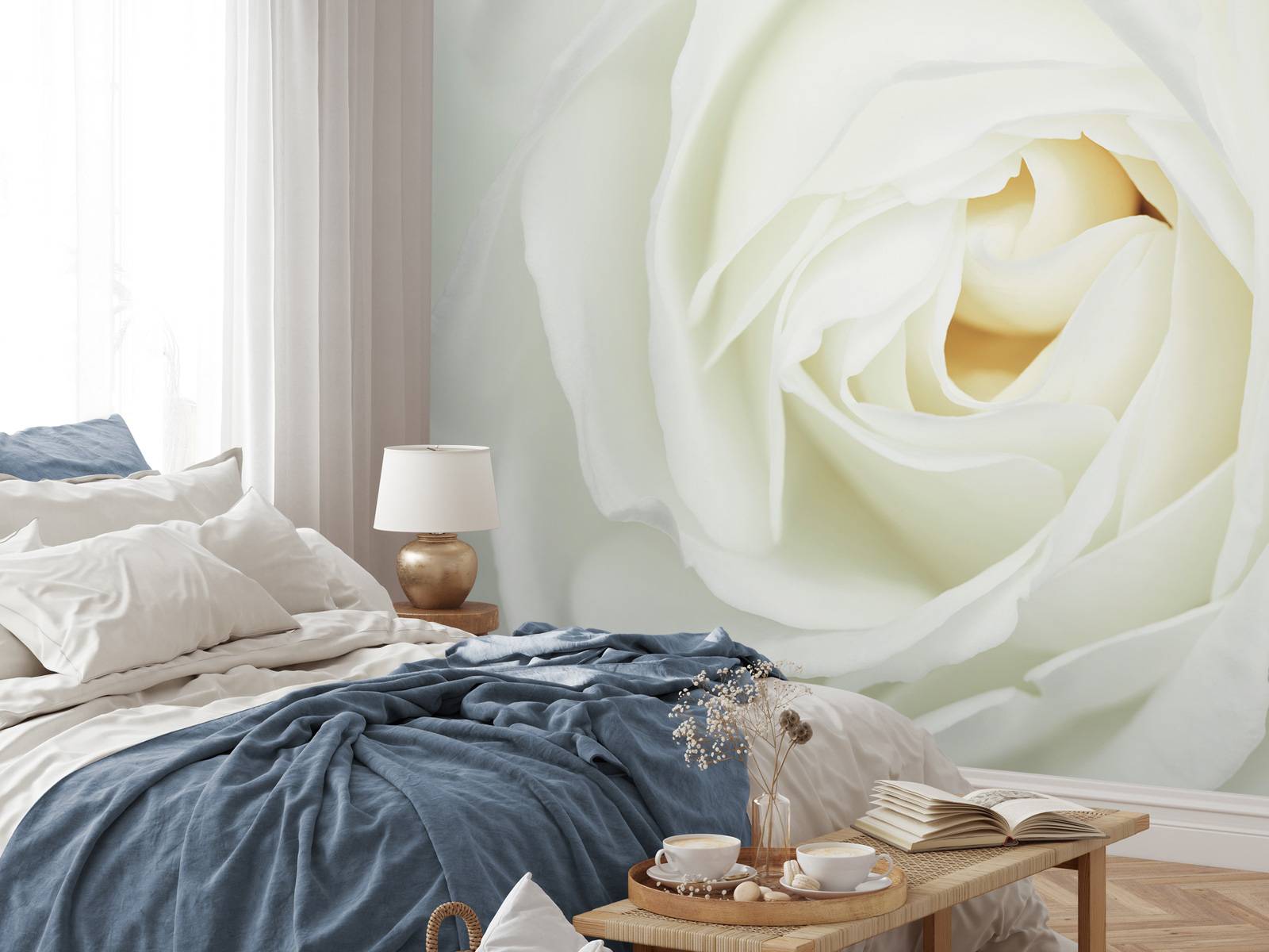 Rose blanche