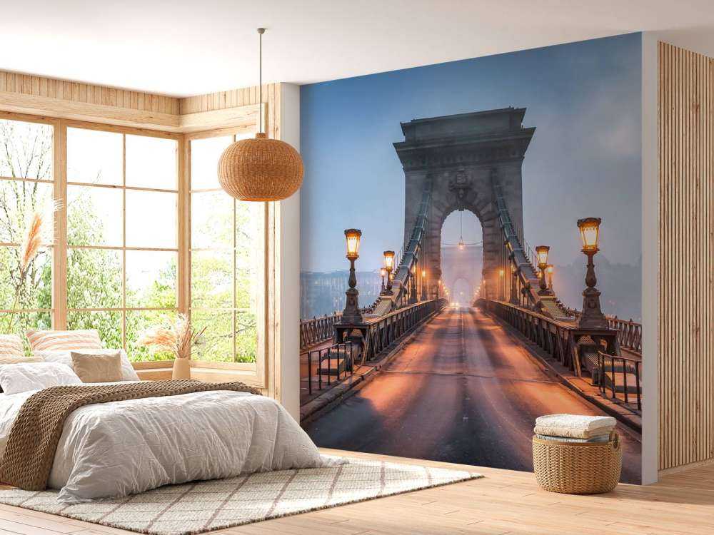 Pont à chaîne à Budapest