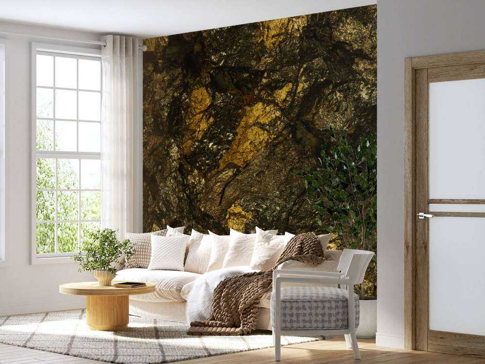 La pierre avec l'or