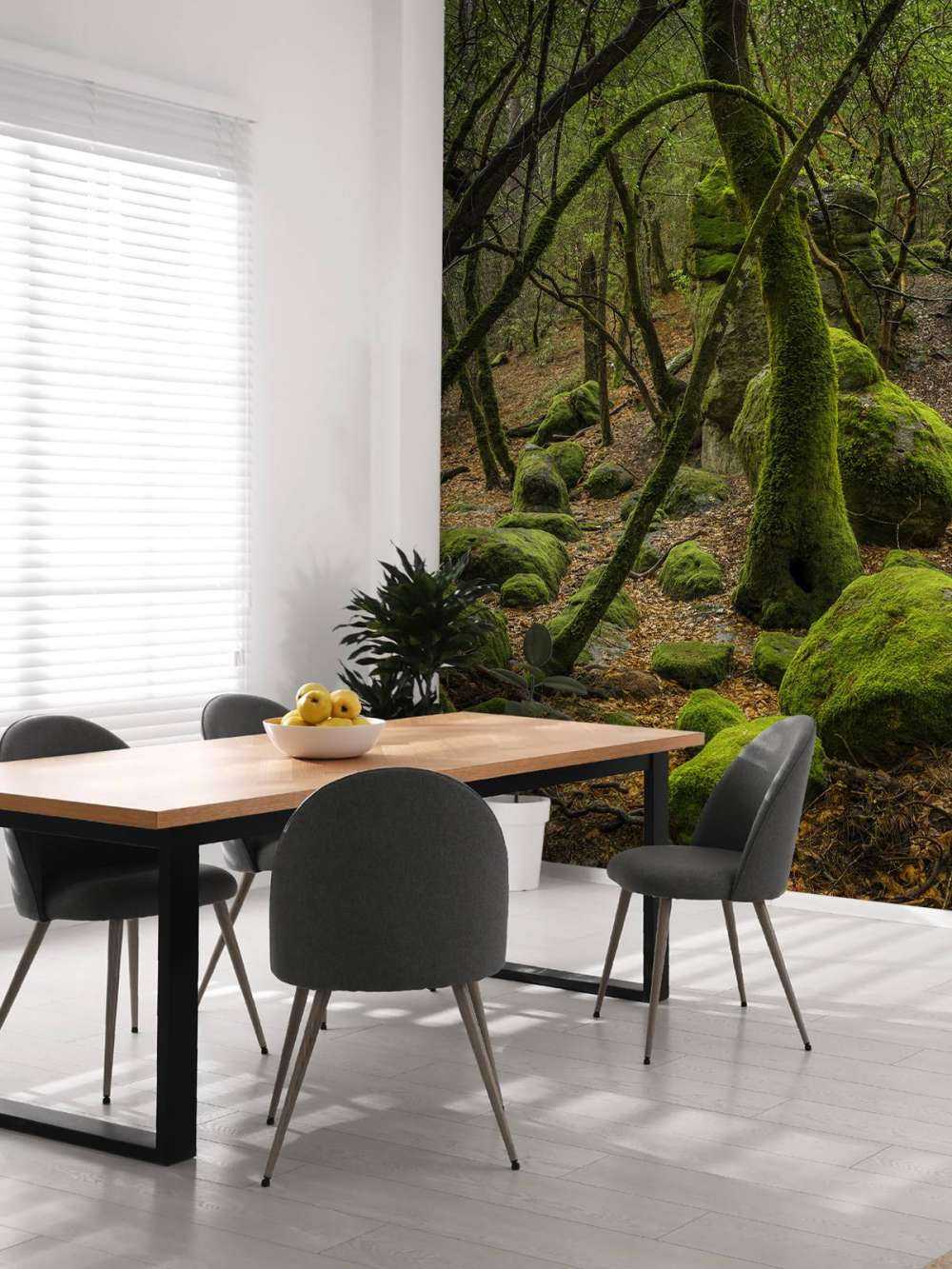 Arbres et mousses