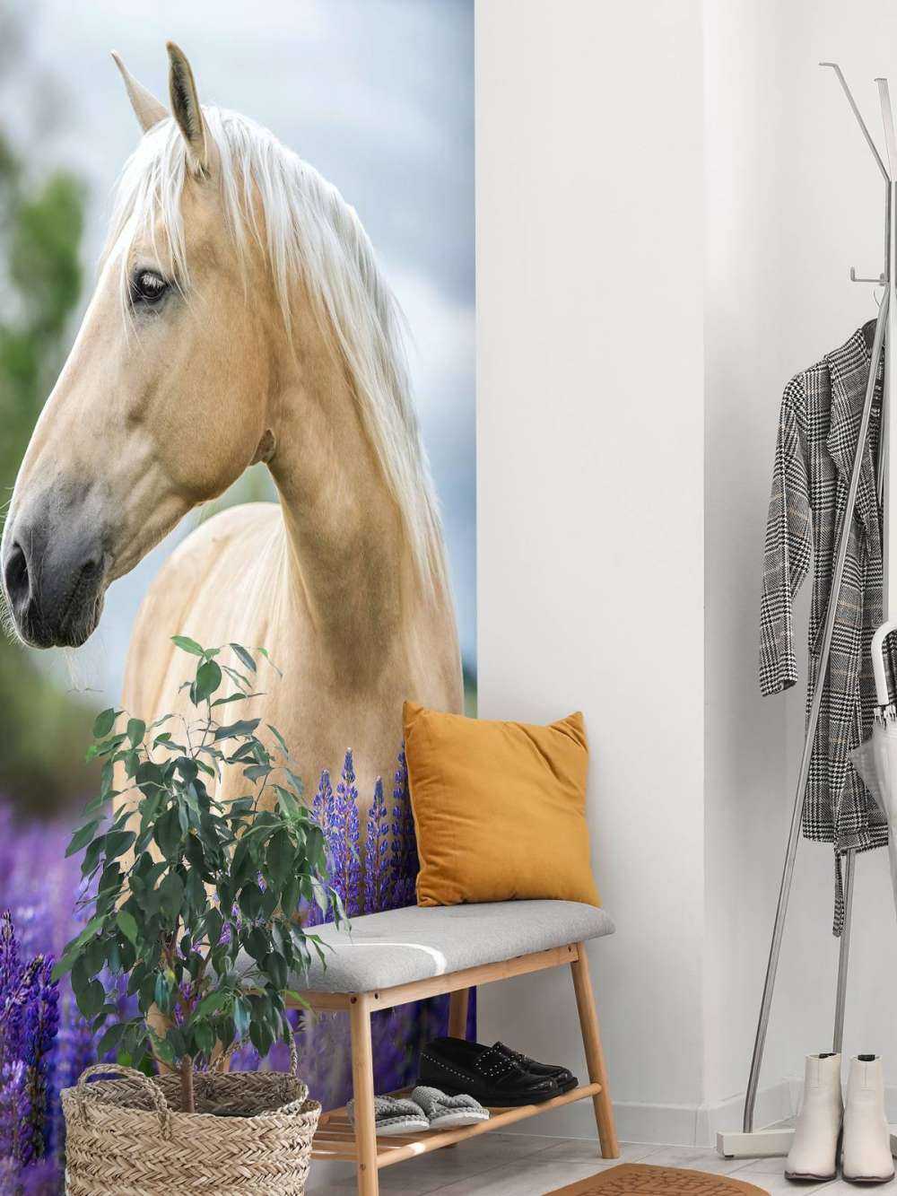 Cheval parmi les fleurs de papillon