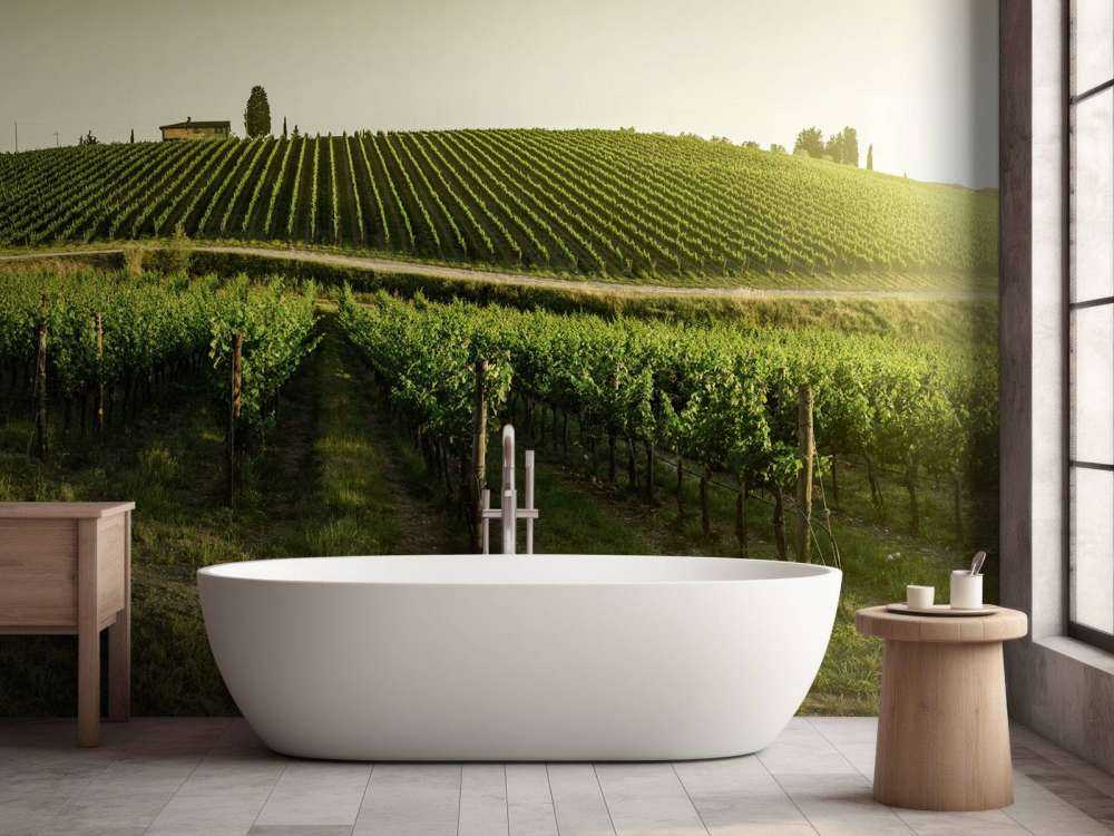 vignoble toscan