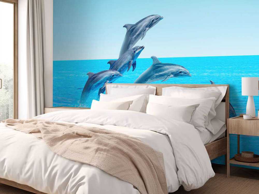 Dauphins sauteurs
