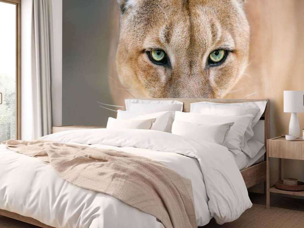 Puma en gros plan