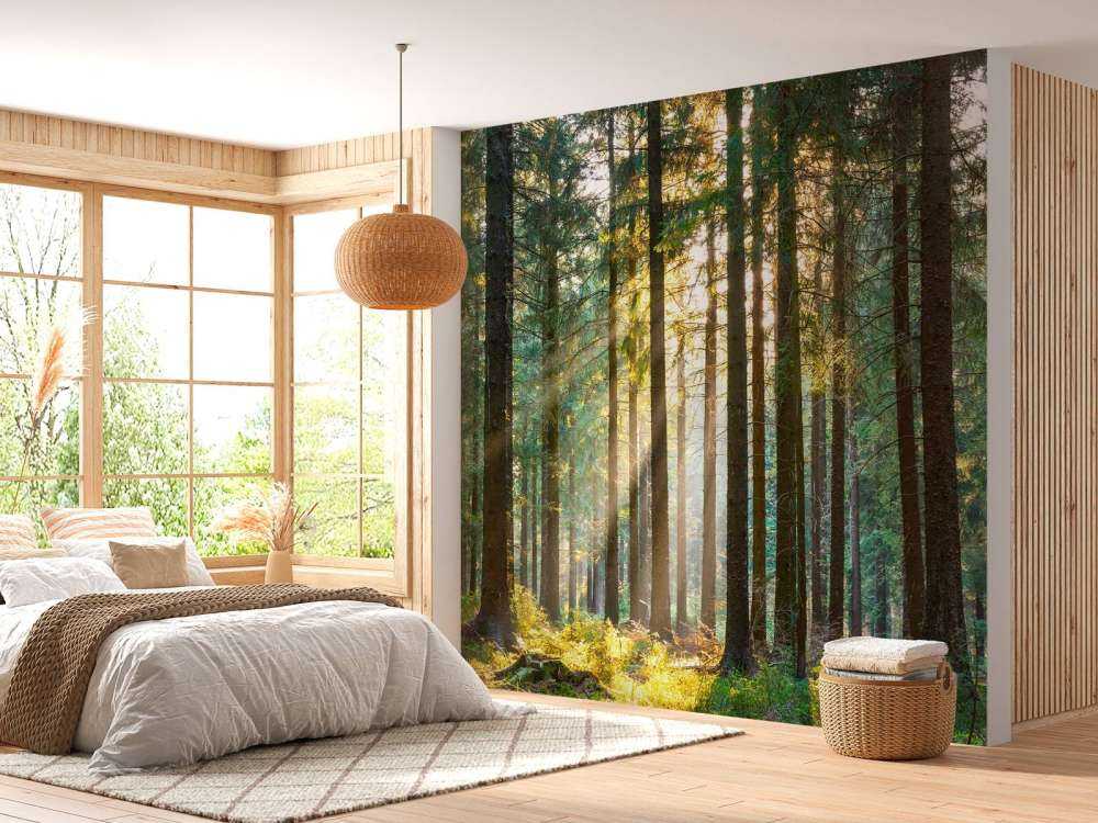 Une forêt tranquille