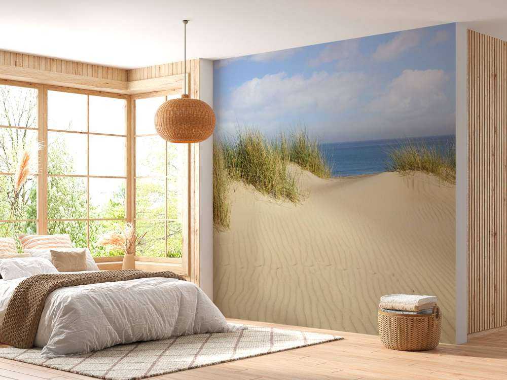 Passage des dunes vers la plage