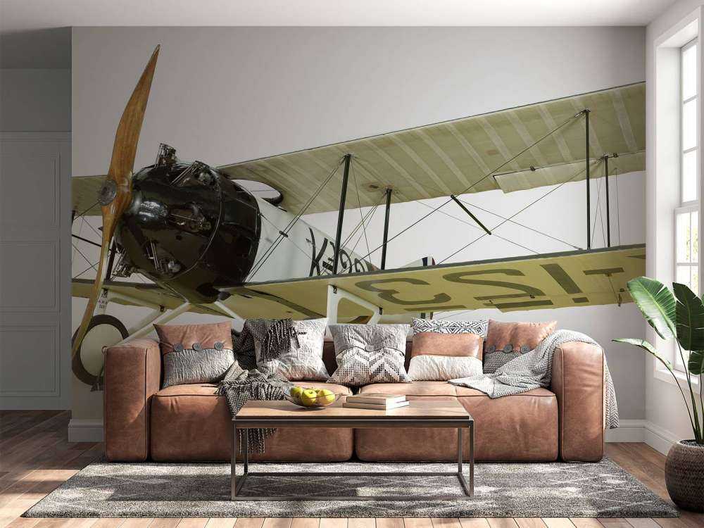 Ancien avion FK 23 Bantam
