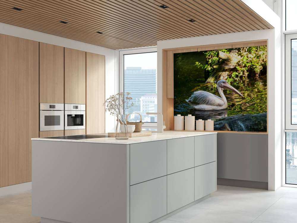 Pélican sur la rivière