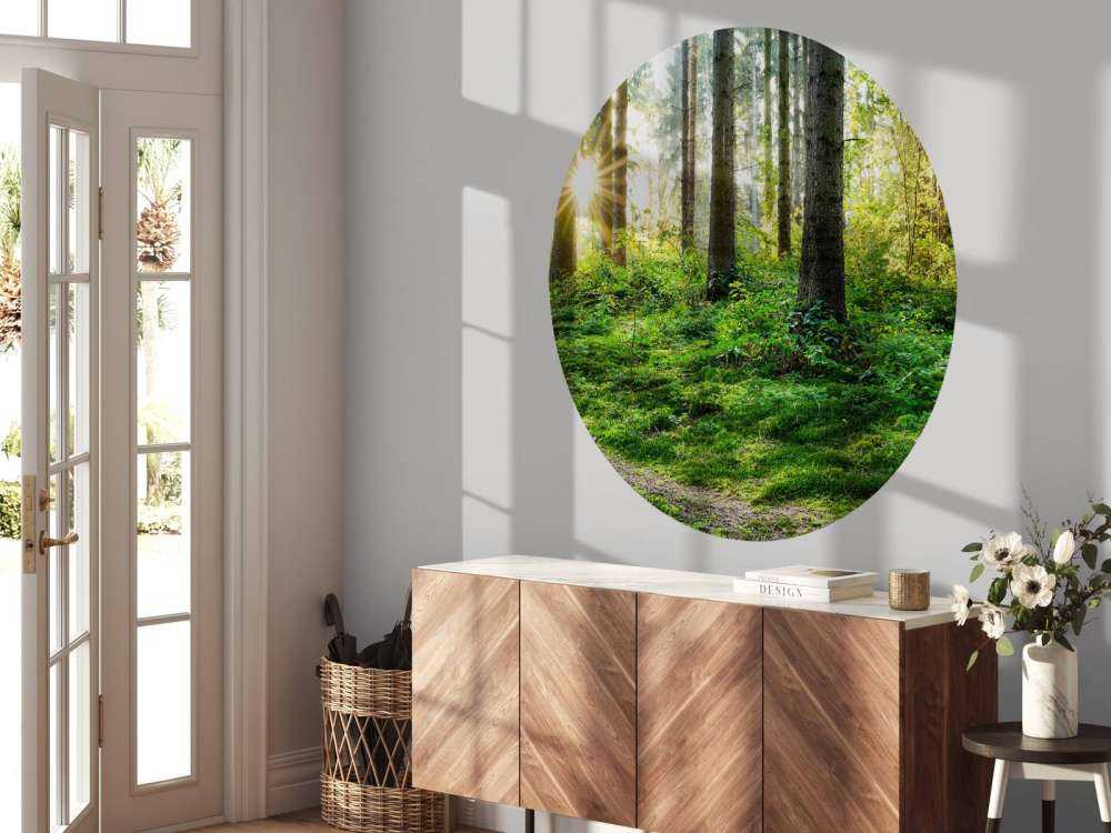 Panorama de la forêt au printemps