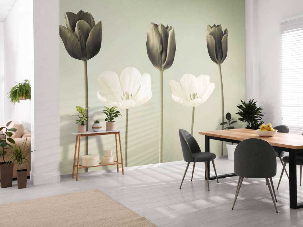 Tulipes en ligne