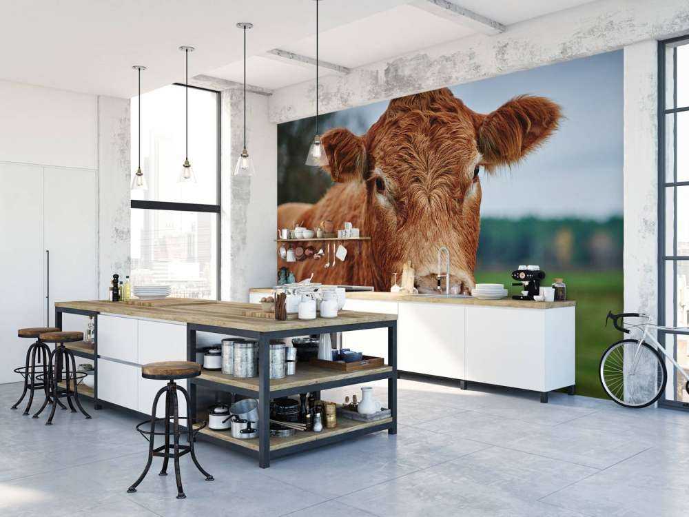 Portrait d'une vache