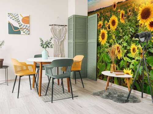 Un beau champ de tournesols