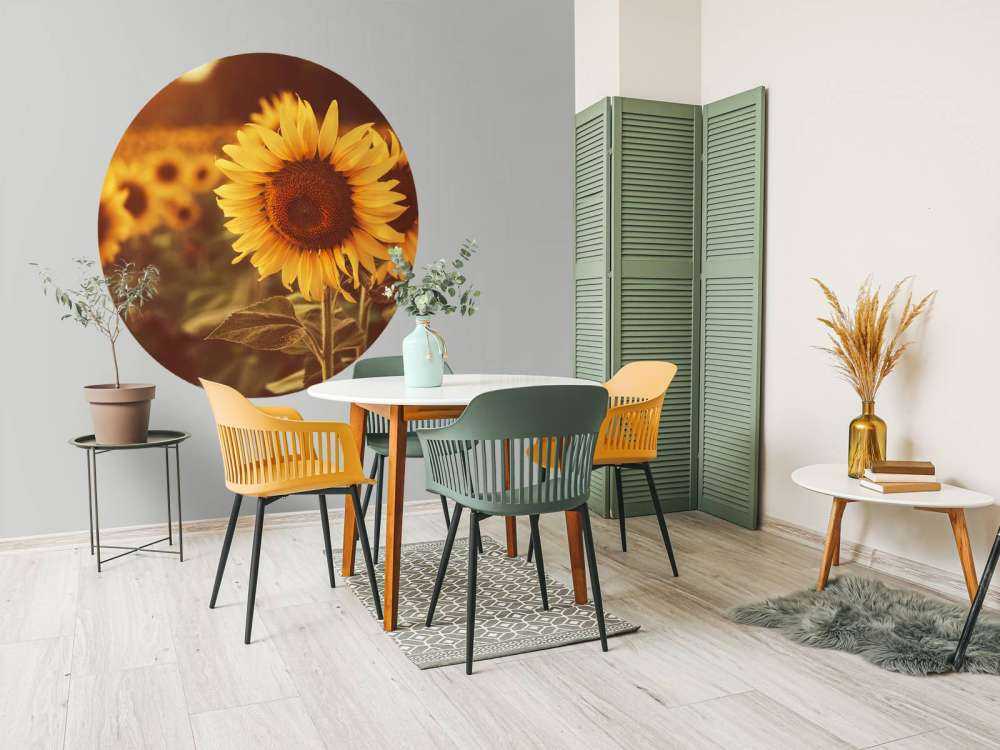 Les tournesols en plein soleil