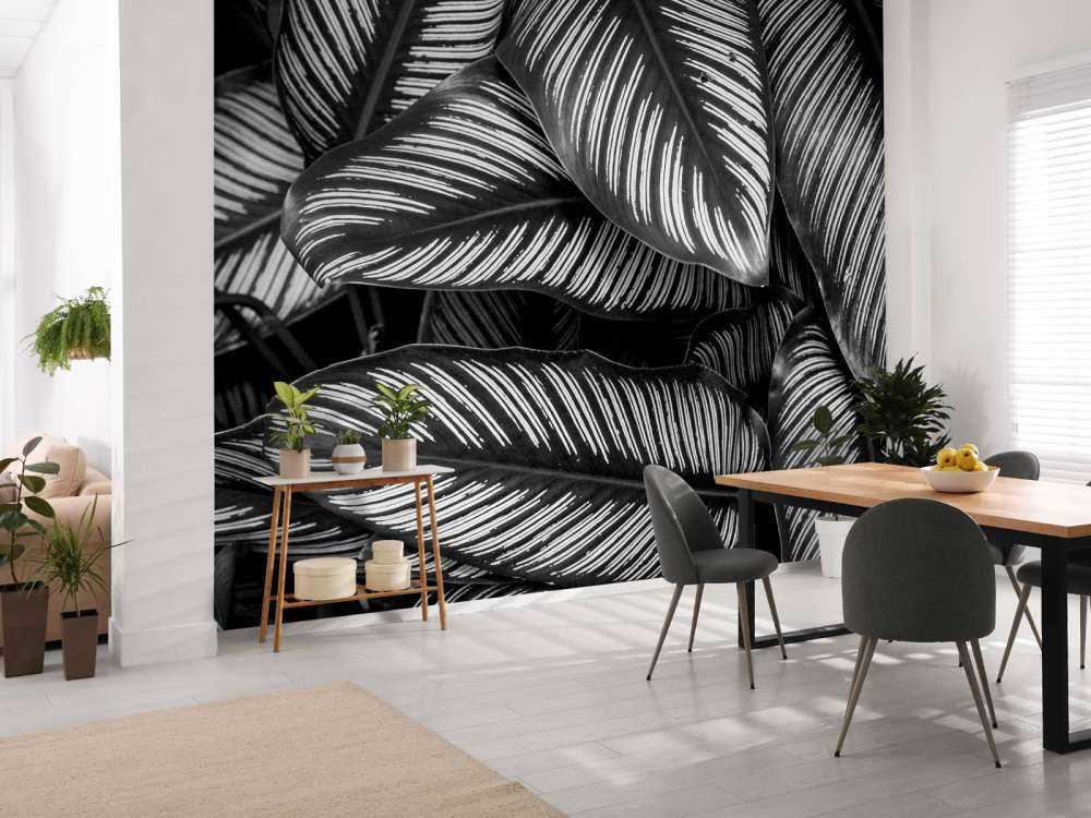 Feuilles de palmier noires et blanches