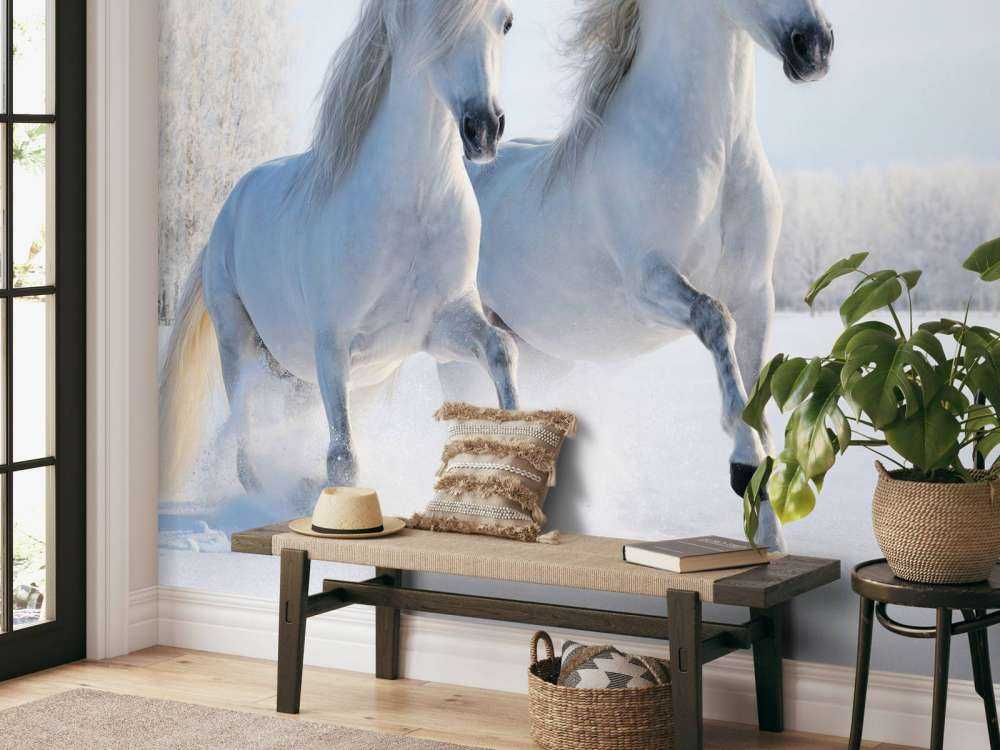 Chevaux dans la neige