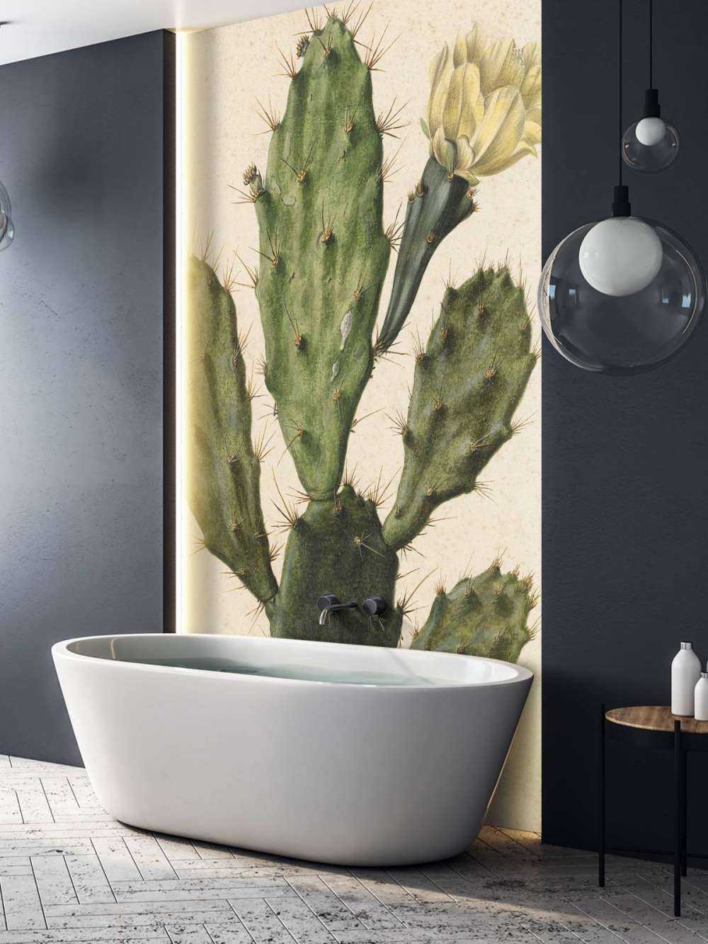 Cactus figuier à fleurs