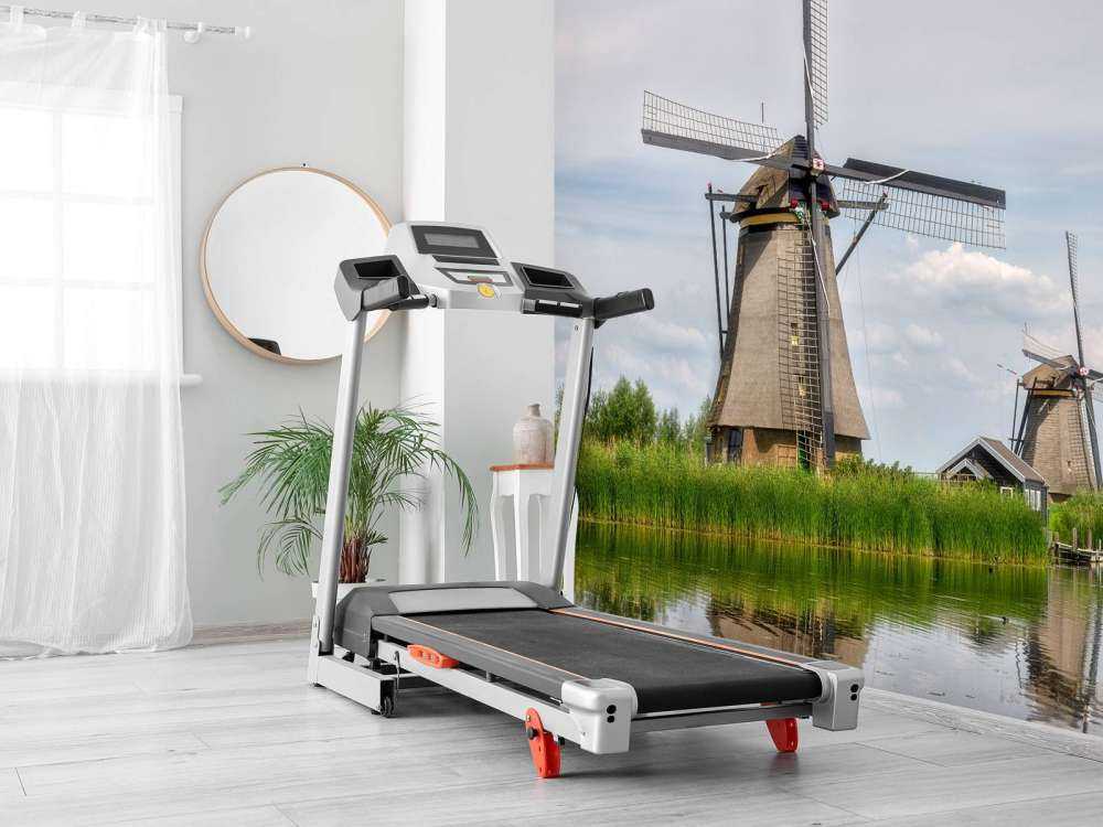 Moulins Kinderdijk