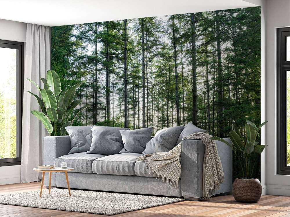 Forêt détaillée