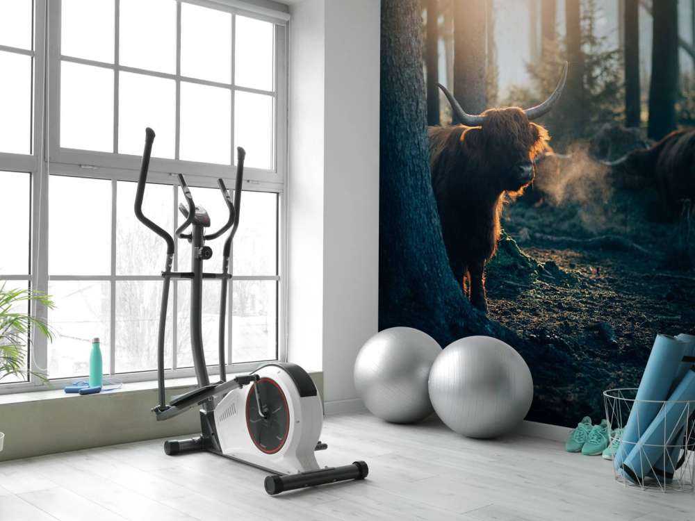 Le Highlander écossais au lever du soleil