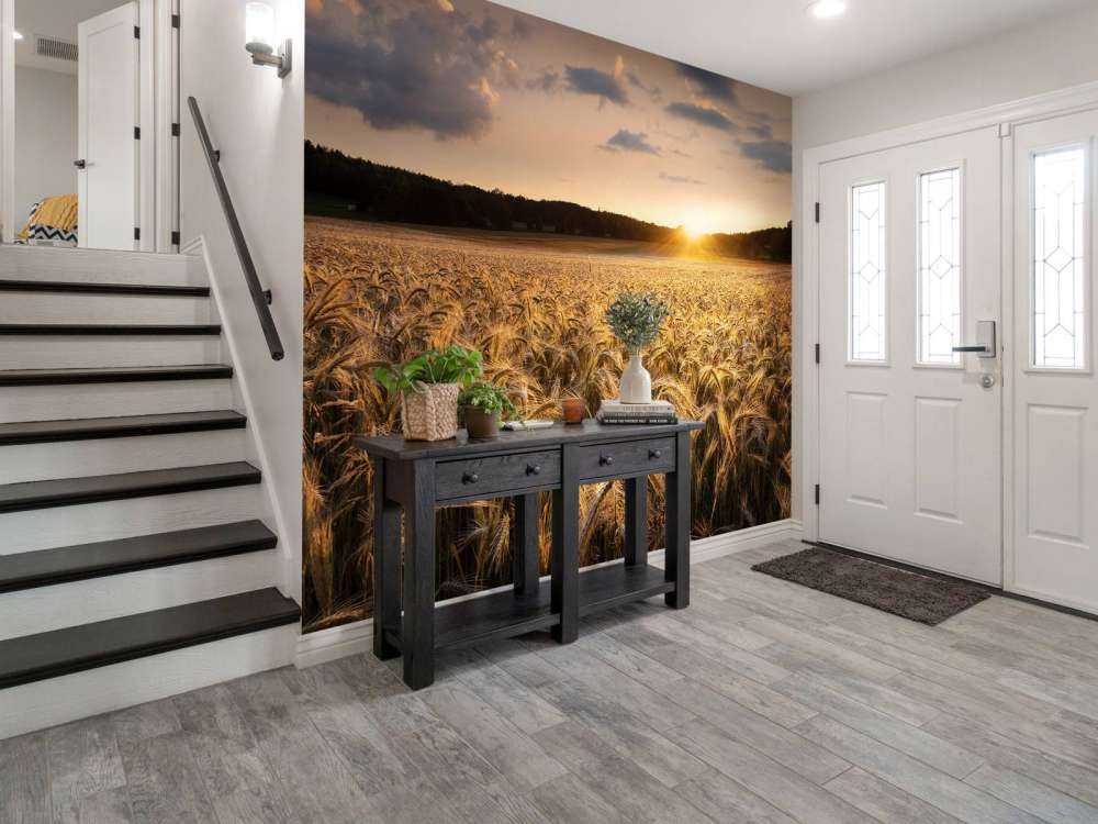 Fields of gold