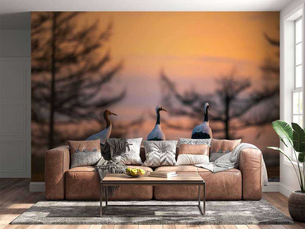 Grues au coucher du soleil