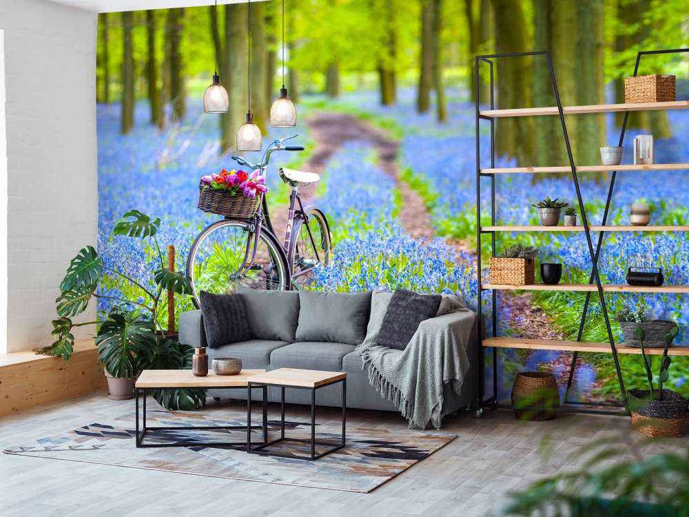 Belle bicyclette dans la forêt