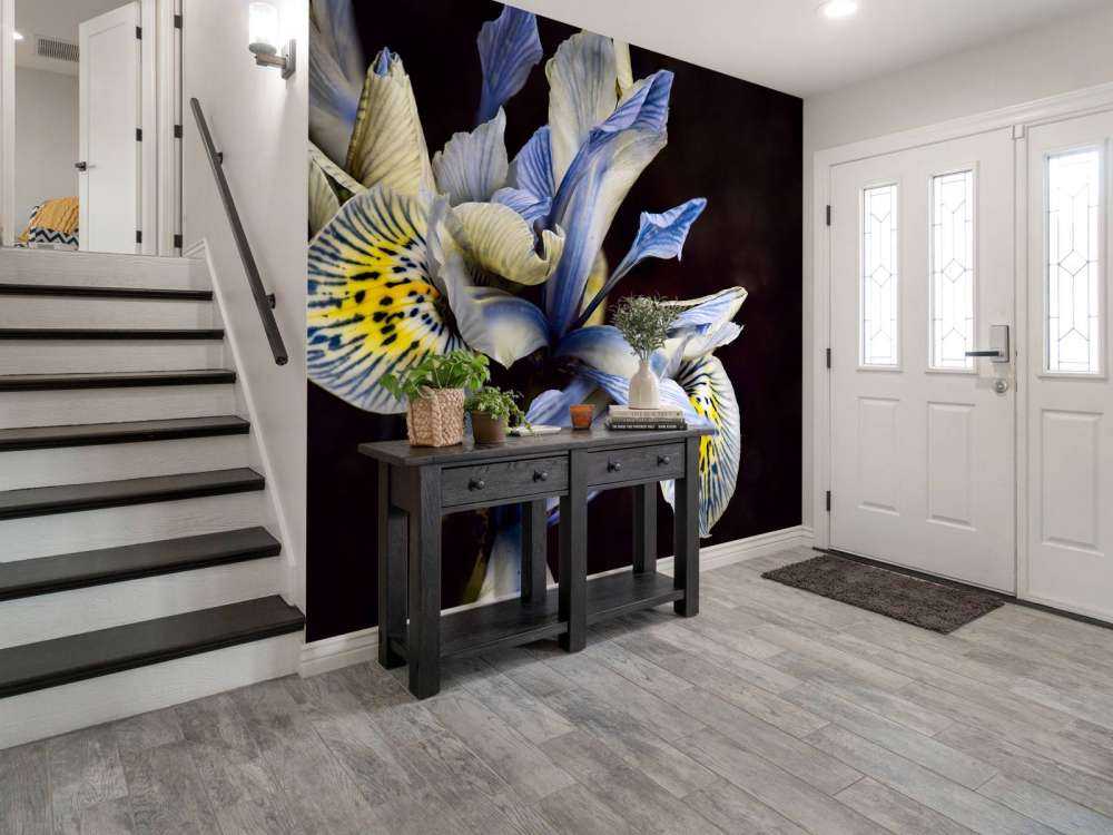Iris bleus