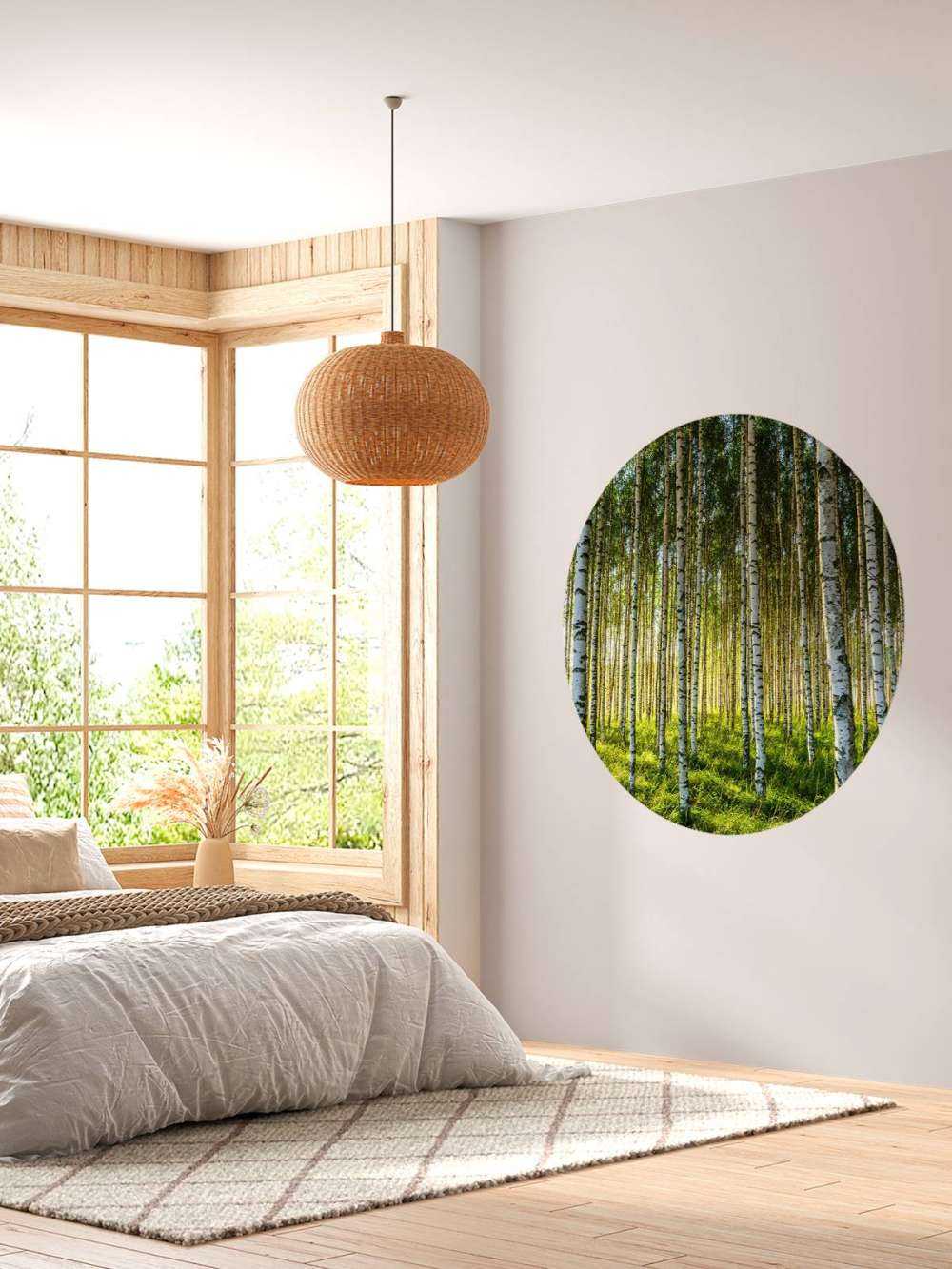 Forêt de bouleaux d'été