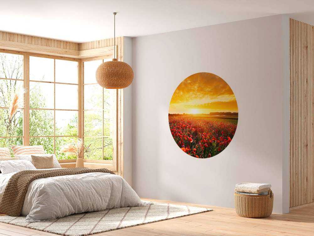 Coquelicots et coucher de soleil