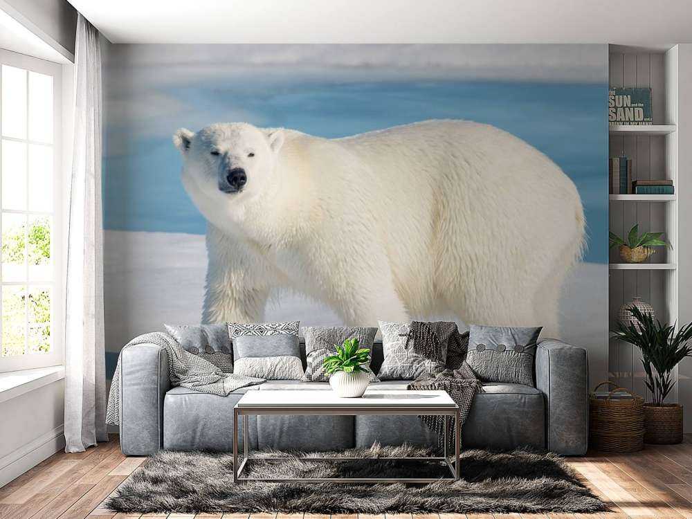 Ours polaire