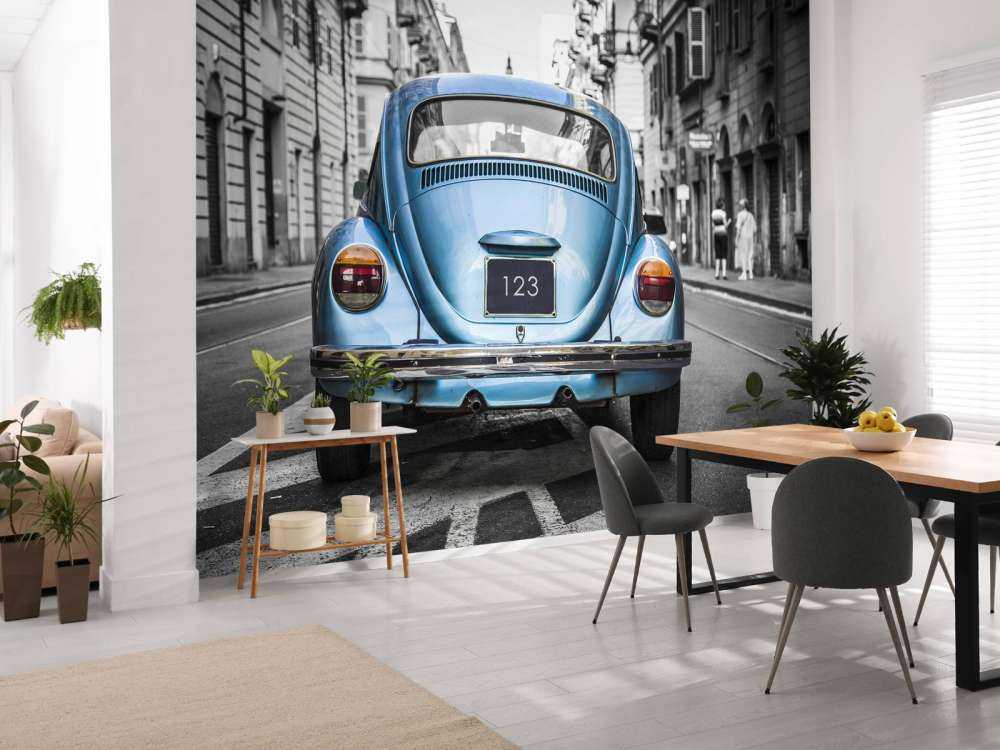 Coccinelle classique