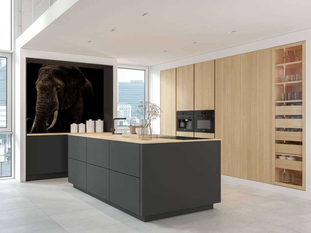 Elephant With Hummingbirds