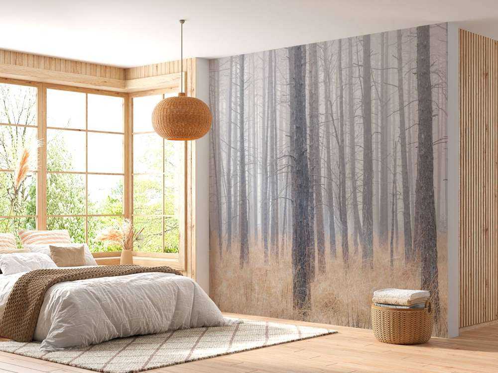 Forêt silencieuse