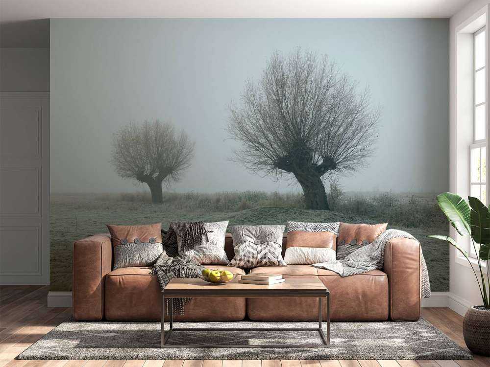 Les saules de Pollard dans le brouillard