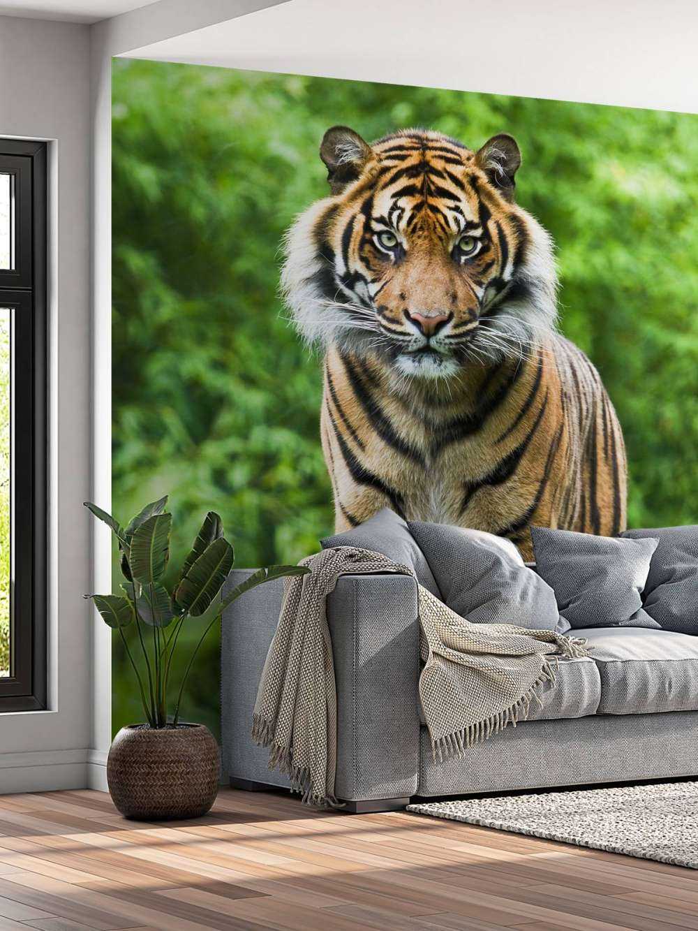 Tigre debout sur une pierre