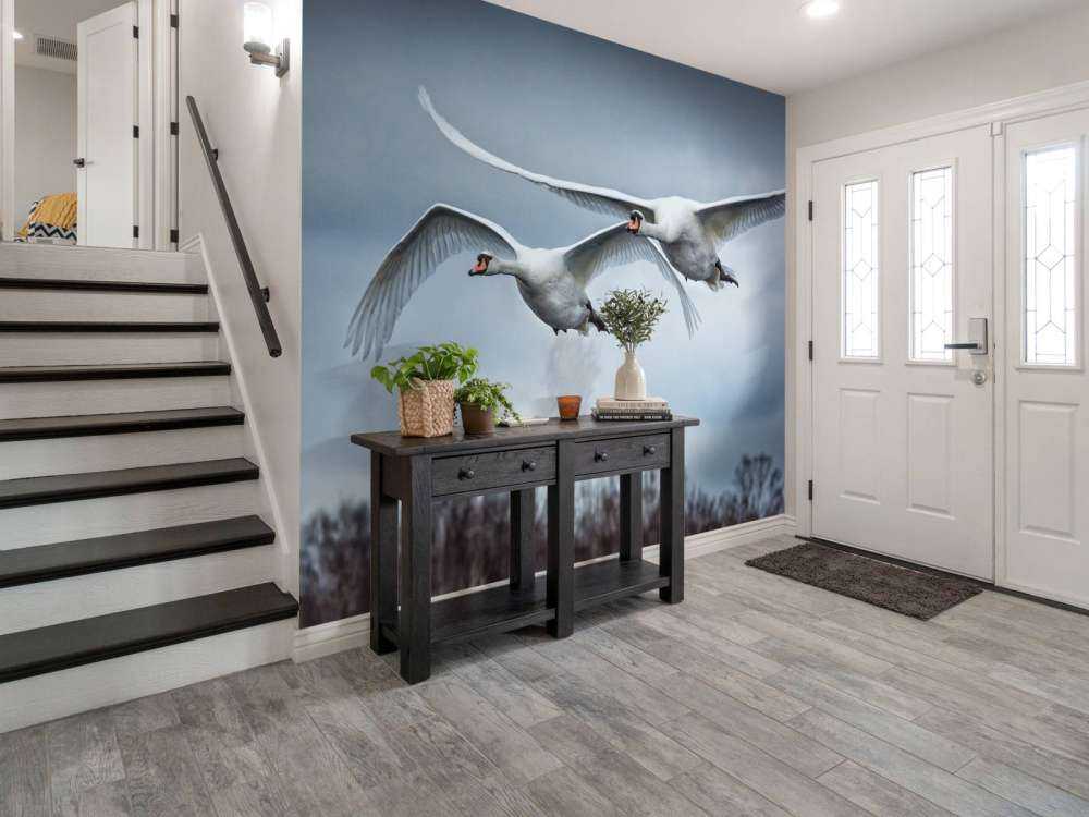Cygne volant