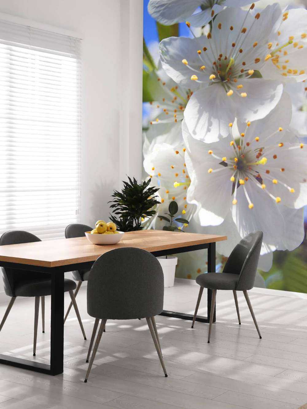 Gros plan sur des fleurs blanches