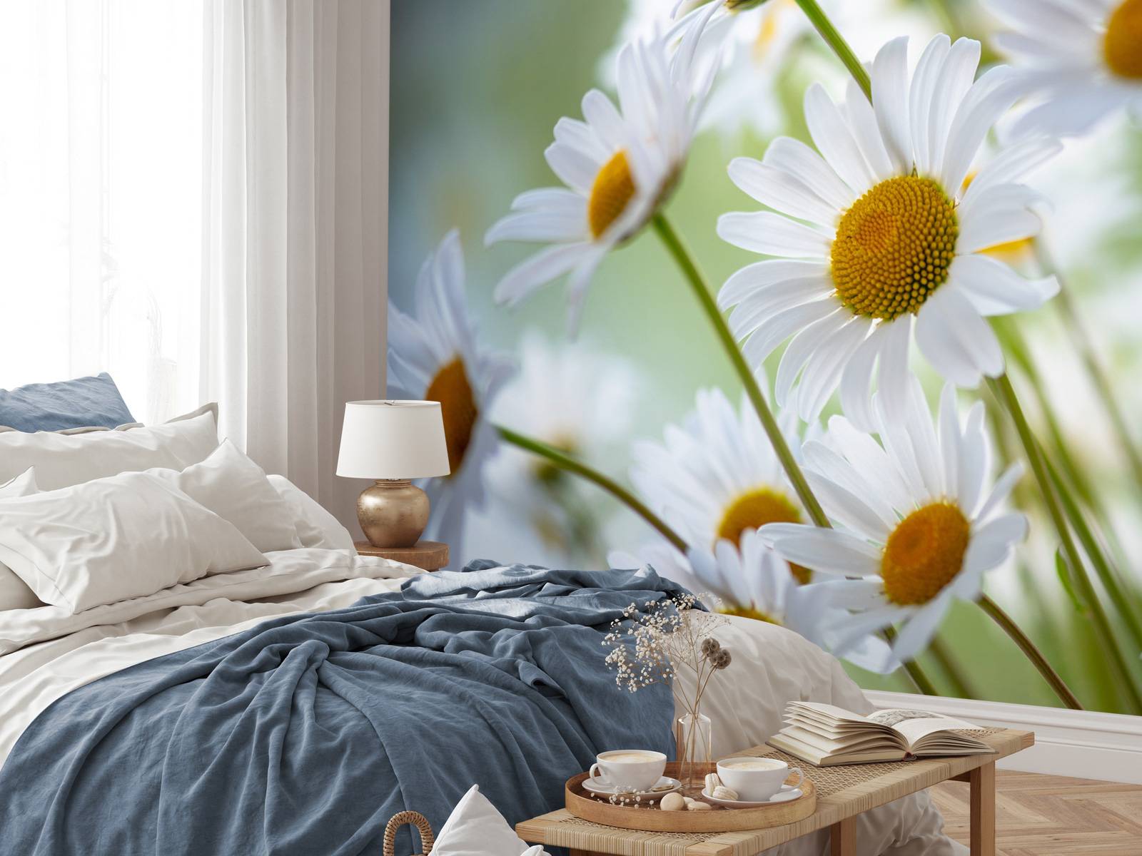 Gros plan sur les marguerites