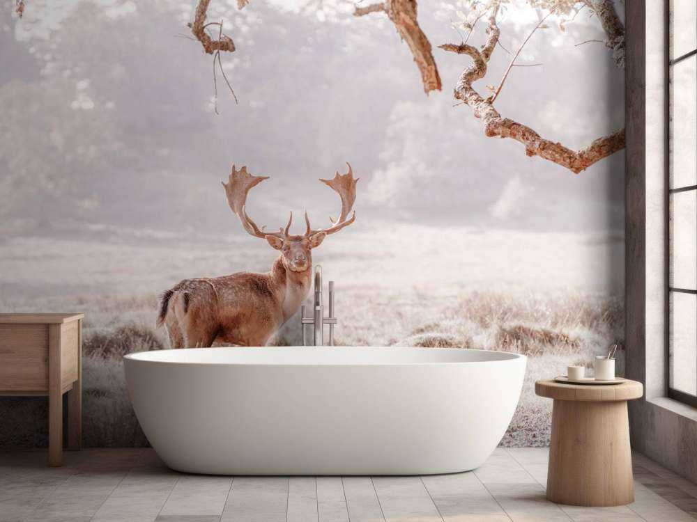 Cerf dans un champ