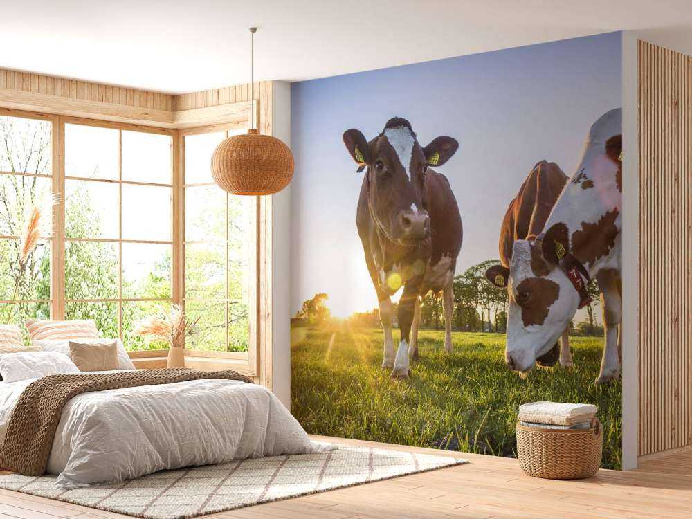 Fond d'écran des vaches