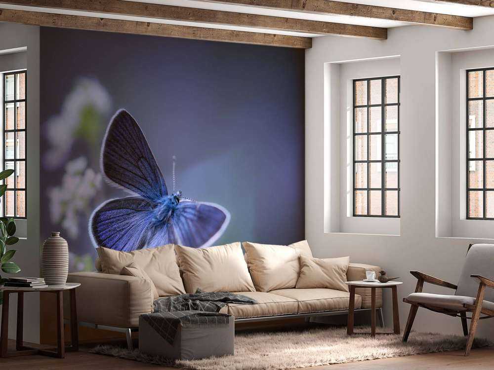 Papillon bleu