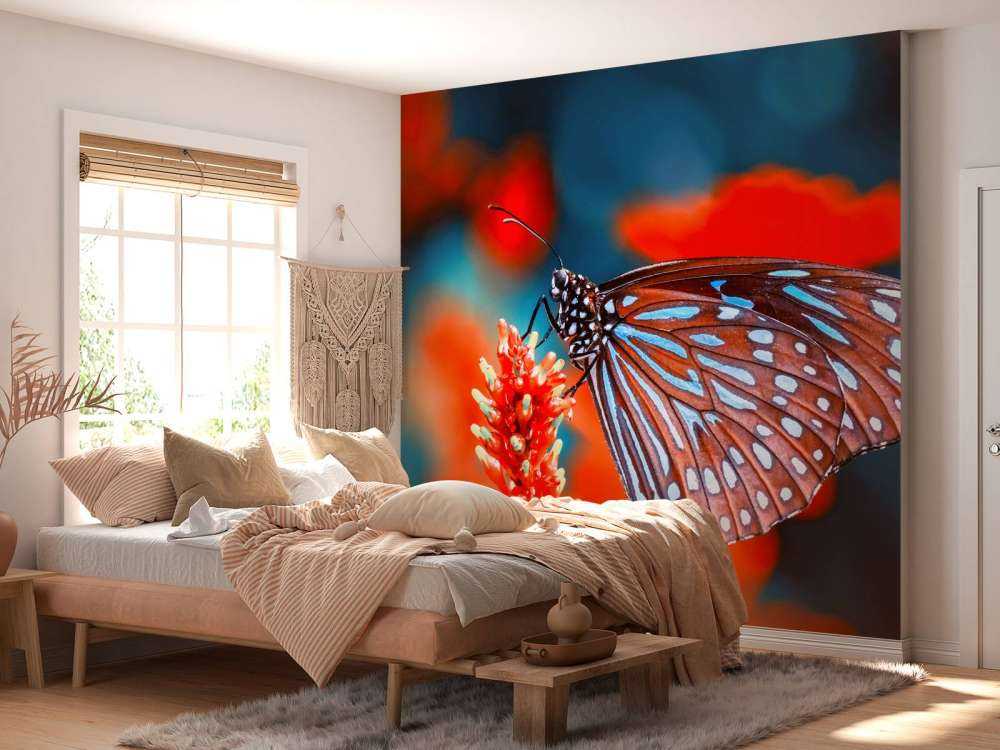Papillon rouge