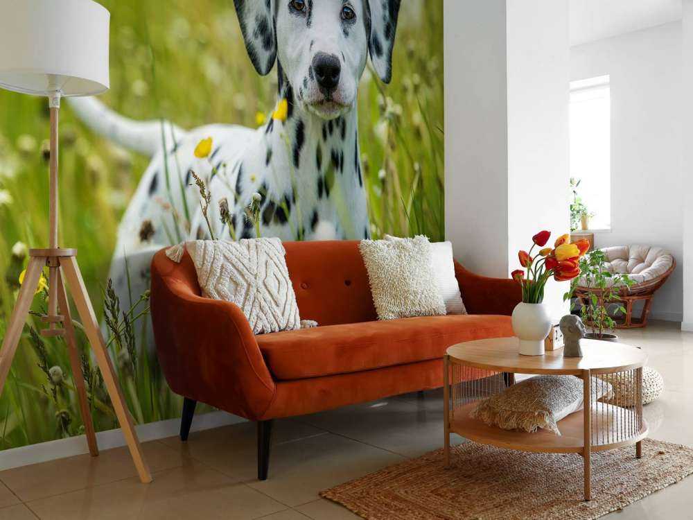Dalmatien