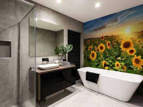 Un beau champ de tournesols